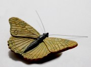 Vlinder geel groen S 800